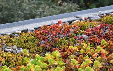 the cost of Little Catworth green roof installation